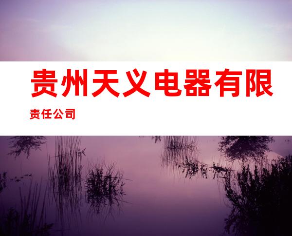贵州天义电器有限责任公司